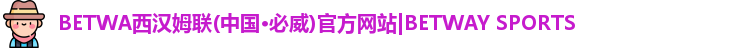 BETWA西汉姆联(中国·必威)官方网站|BETWAY SPORTS